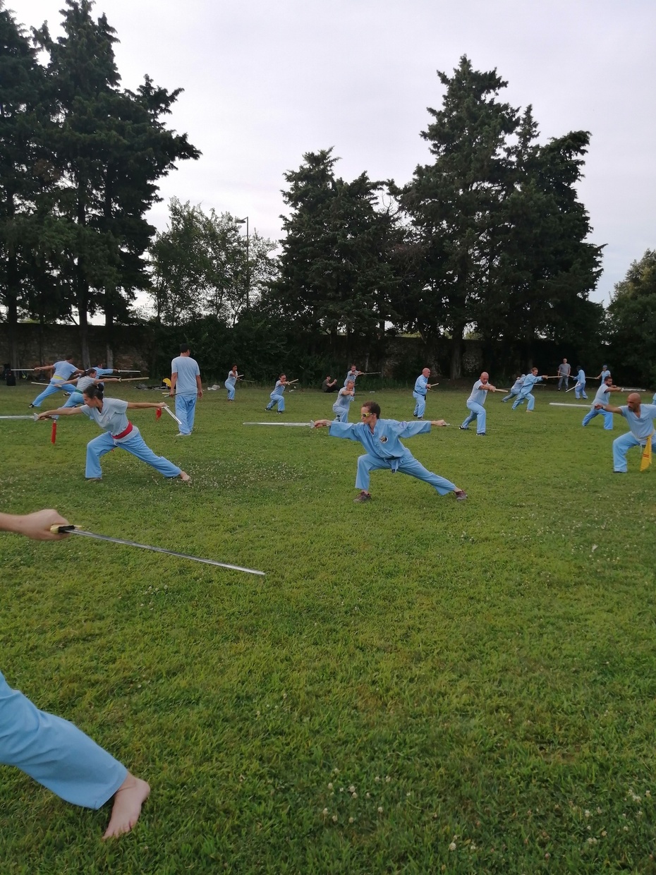 Lam Son Vo Dao – Photo Dump Lam Son Vo Dao – Photo Dump