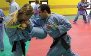 Stage "Techniques de combat traditionnel" du 30 novembre et 1er décembre 2013