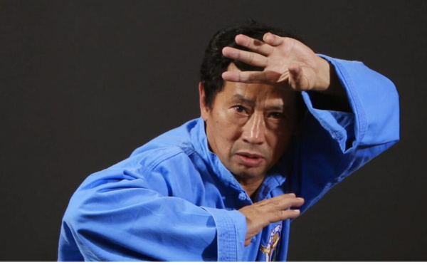 Vidéo - L’art martial vietnamien qui allie énergie et tradition