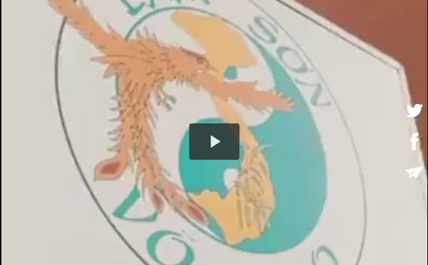 Journée découverte du Lam Son Vo Dao à Ajaccio